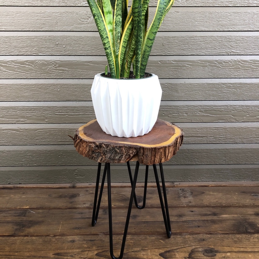 Wood Plant Stand/Side Table